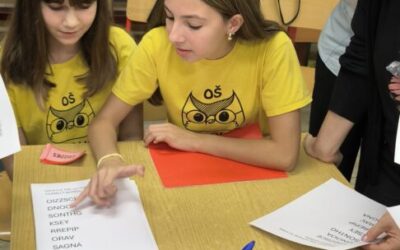 Predstavili smo aktivnost Speak dating na Županijskom stručnom vijeću učitelja Engleskog jezika