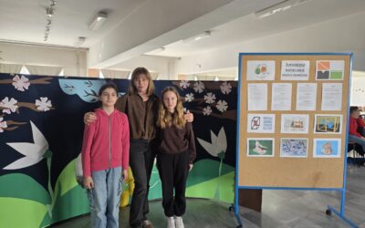 Županijsko natjecanje Mladih tehničara